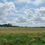 2012-07-2922