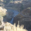 (n)-Pérou, Colca Canyon