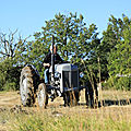 Photos JMP©Koufra12 - Cornus Rando Tracteurs - 15082018 - 081