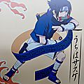 JE12_14 - Sasuke