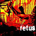 Fetus