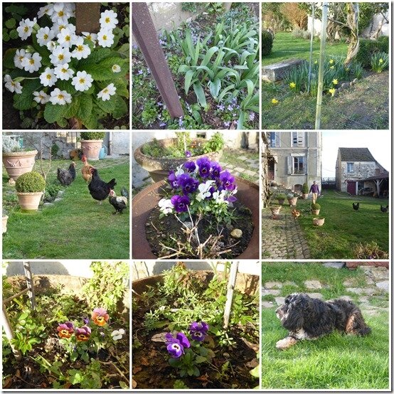 jardin 17 mars 20193