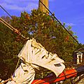 DSC02600