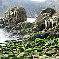 Les rochers étranges de Pasaïa (Espagne)