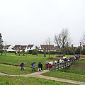 IMGP0208