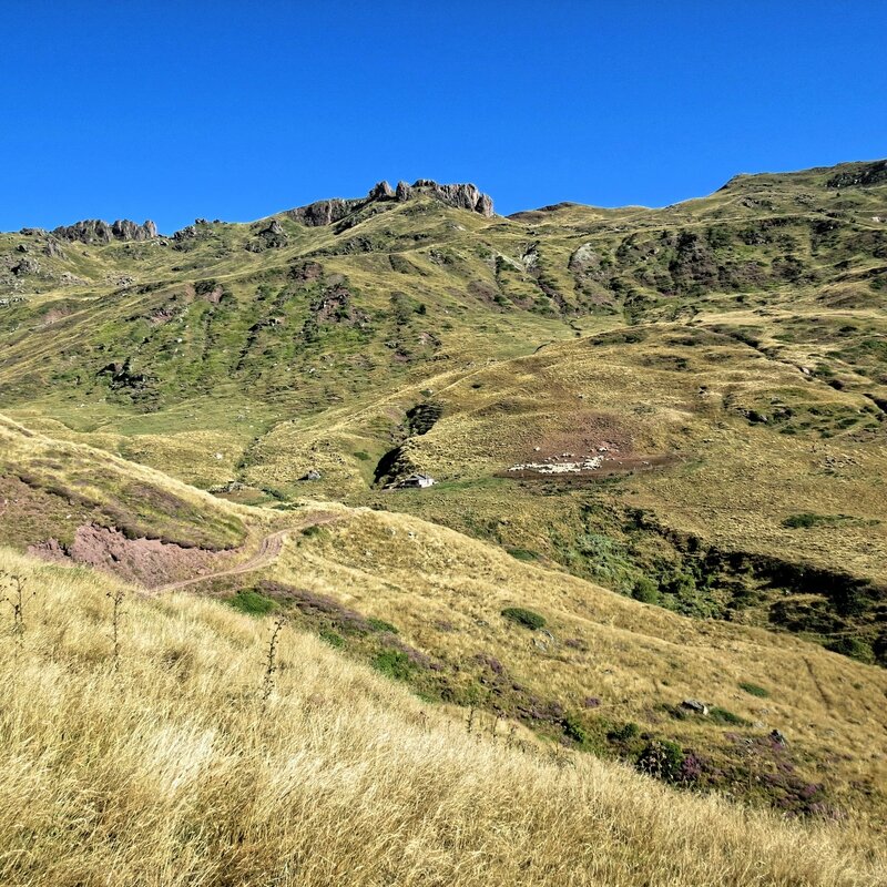 IMG_6874_DxO