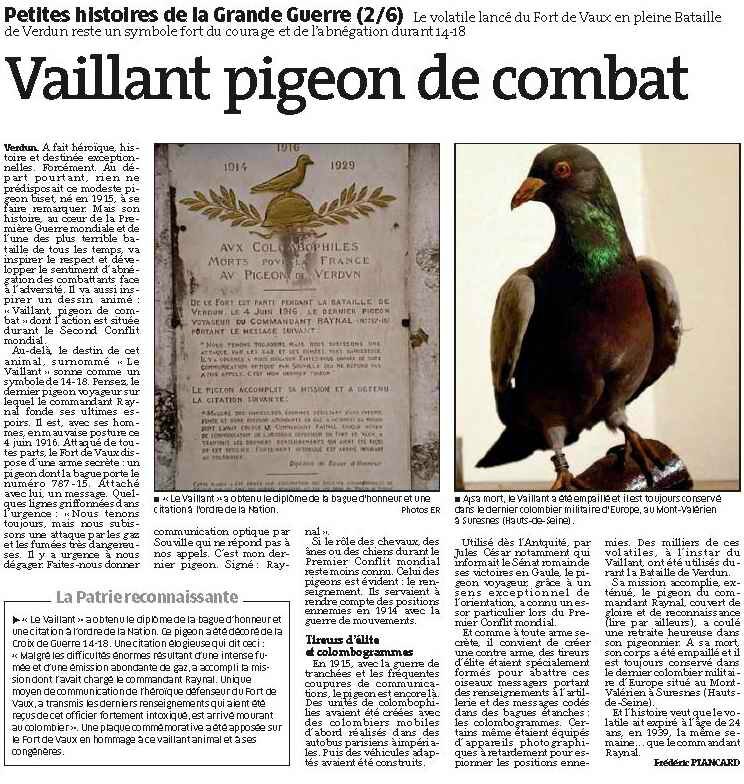 Vaillant pigeon1