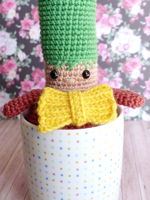 cactus-crochet-livre-caro-tricote-my-sweet-home-editions-eyrolles-04