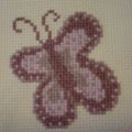 Ameluna: papillon naïf