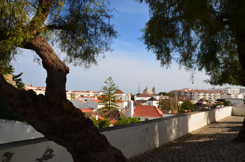 DSC_5302;