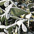 IMG_8087