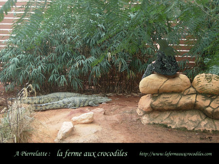 persilya_la_ferme_aux_crocodiles_300309
