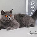 _DSC0734