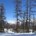neige et soleil,février 2007