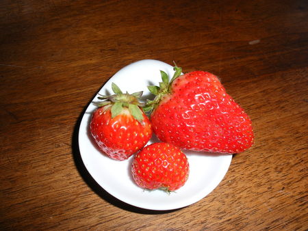 3_petites_fraises_7102010