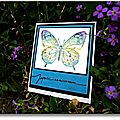 carte papillon aquarelle