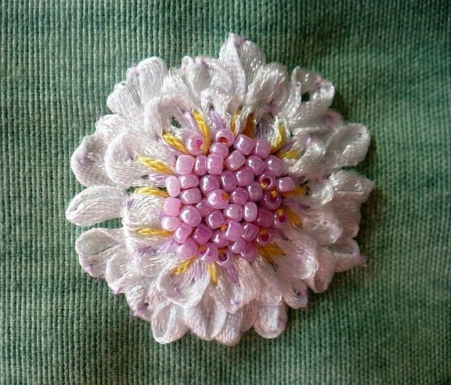 blog aster2