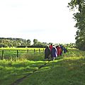 IMGP3778