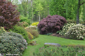 Jardins_de_callunes_0148