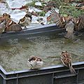 IMG_4305