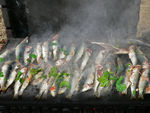sardines_grill_es