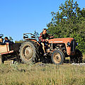 Photos JMP©Koufra12 - Cornus Rando Tracteurs - 15082018 - 317