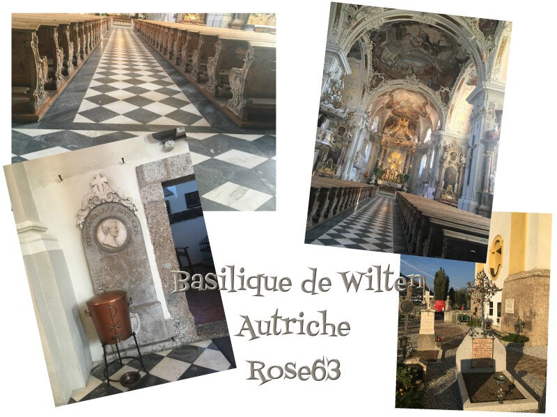 Autriche octobre2018 Rose63