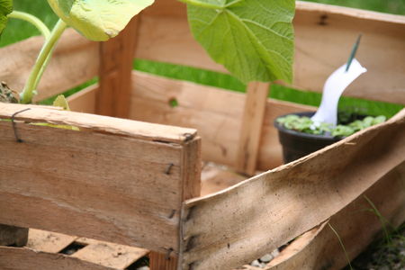 Jardin_055