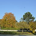 _DSC0027