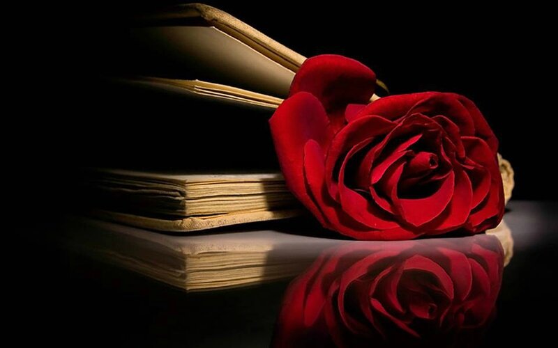 livre et rose rouge delano295168971_n