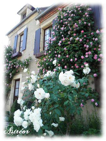 Apremont1