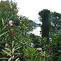 P1020129