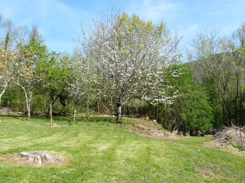 P1210333
