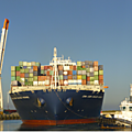 Parts de marché d'haropa dans le trafic maritime de conteneurs : bienvenue chez les chtis ?