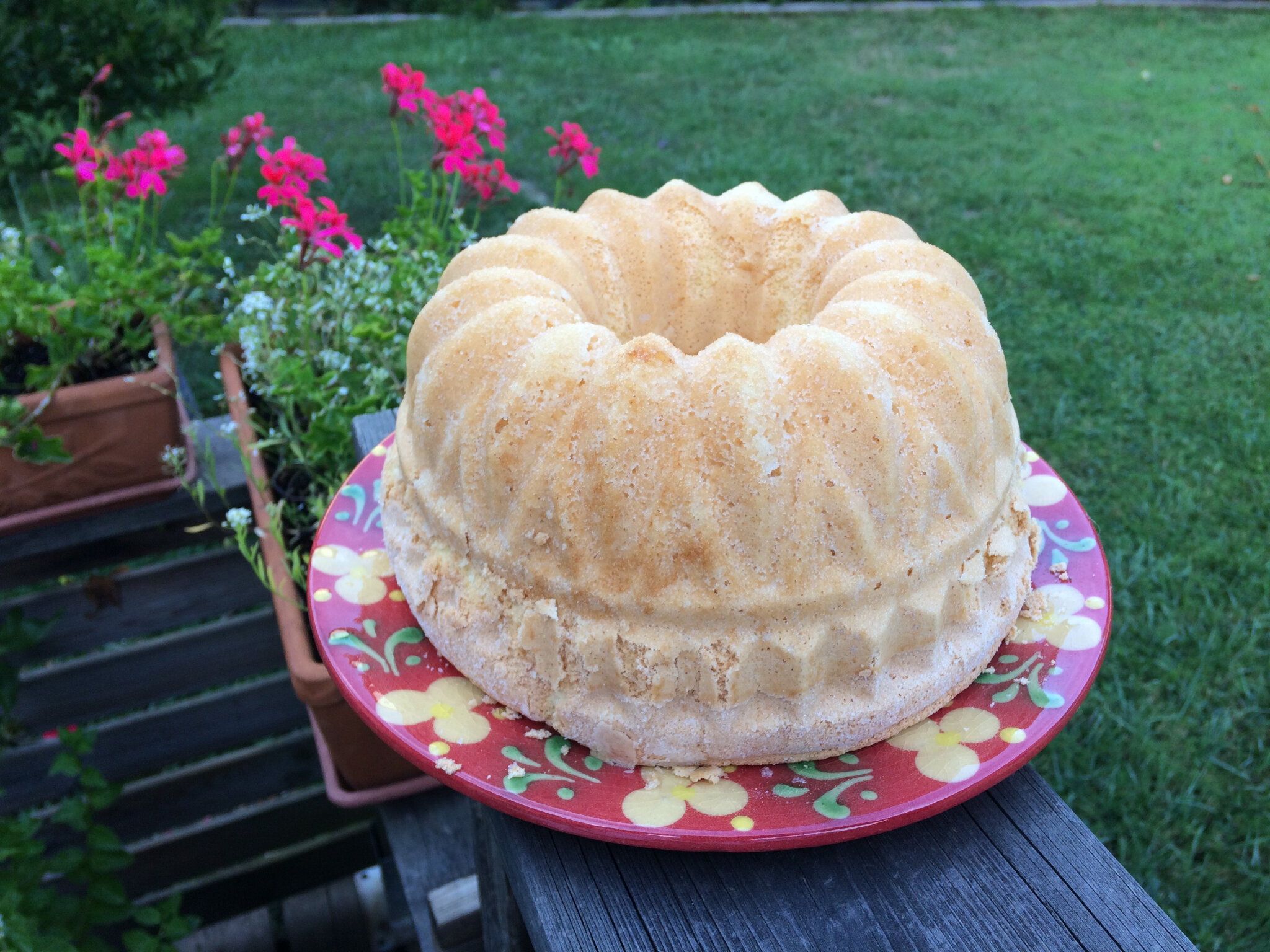 Moule gâteau de Savoie - Gobel