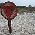 Arjuzanx, stop de plage (40)