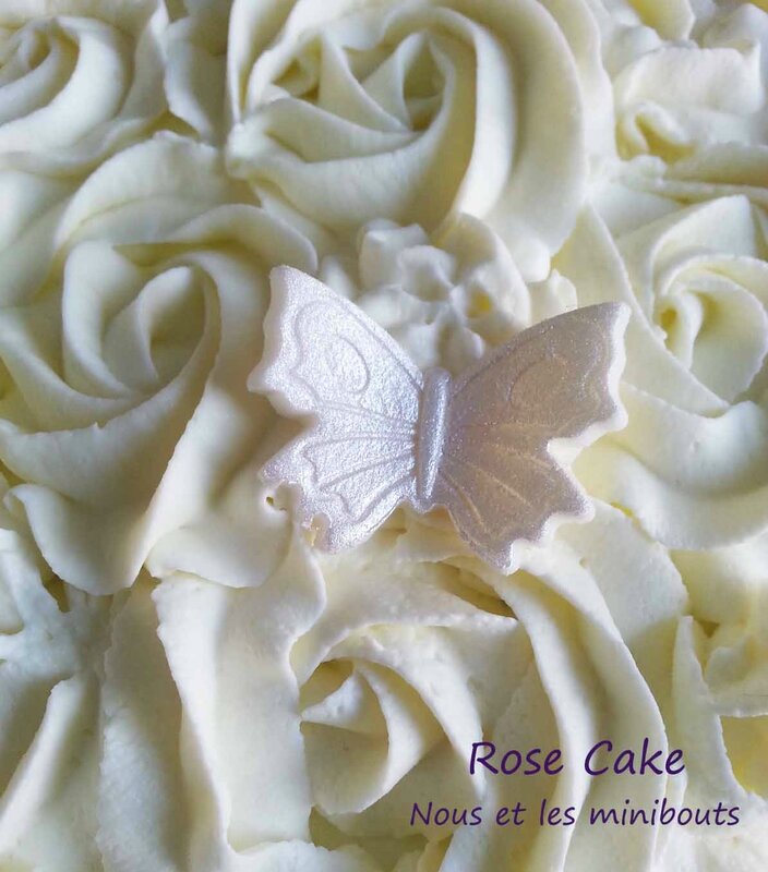 rose cake chantilly papillon