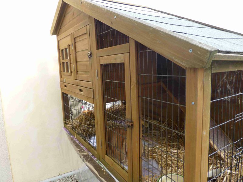 Des millions d'amis à la Maison de Retraite NOGENTLEROI.INFO