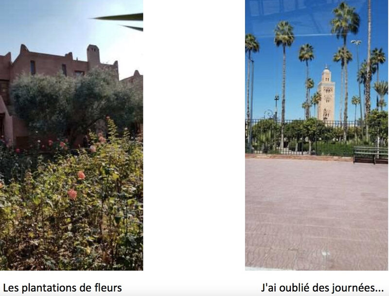 Fleurs-koutoubia
