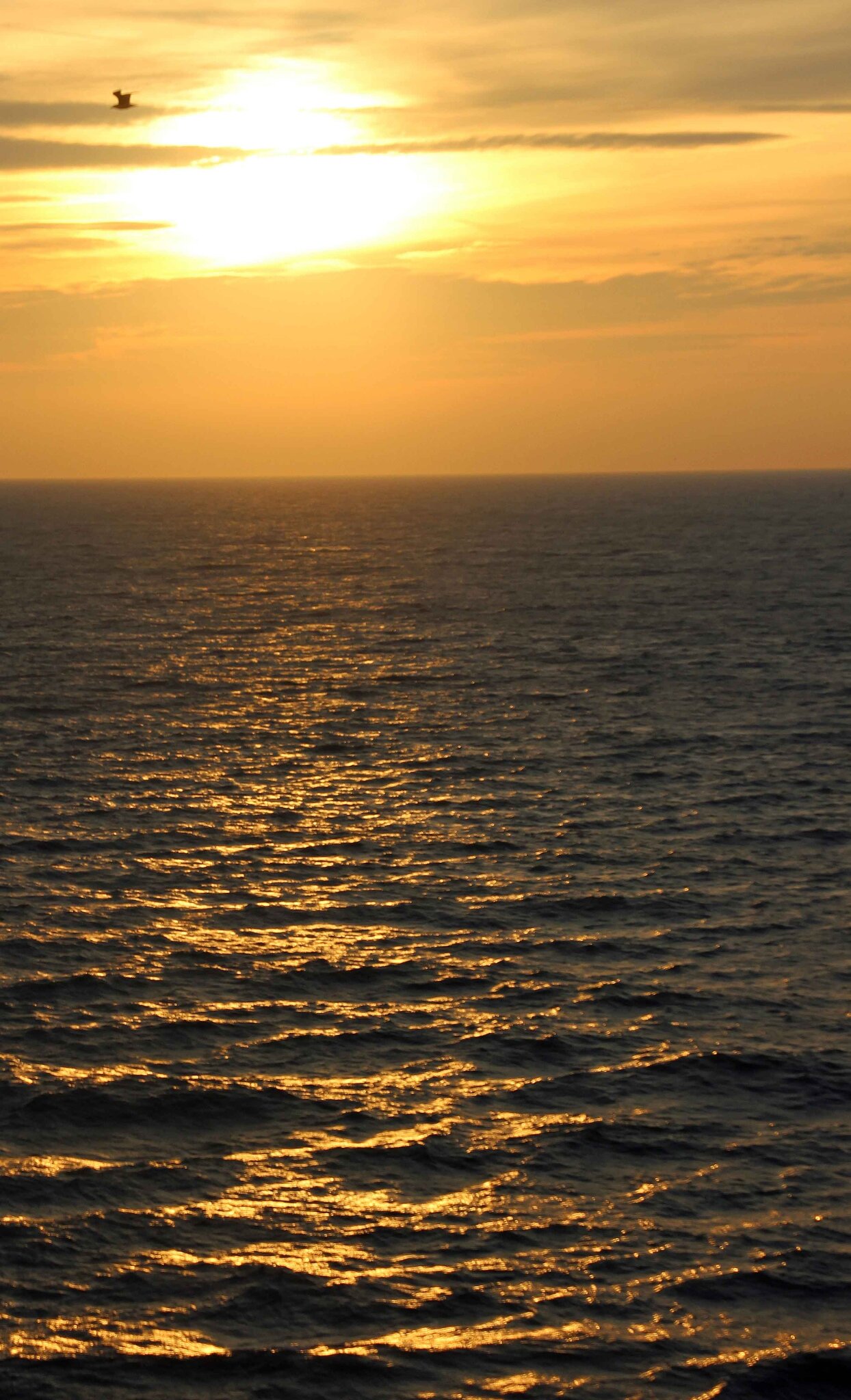 Couché De Soleil Plage Du Havre Le 31 Décembre 2014 D