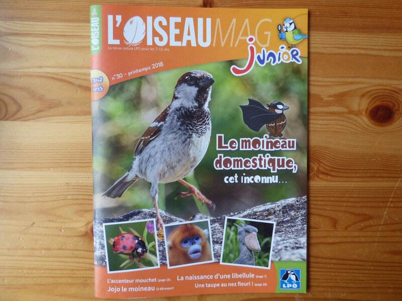 Oiseau Mag Jr printemps 2018 (4)