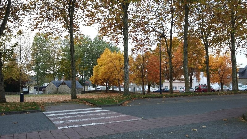 20161030_085710