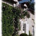 lapetiteclavelie2