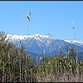 DSC08470