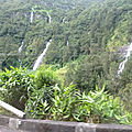 P1270948 (Copier)
