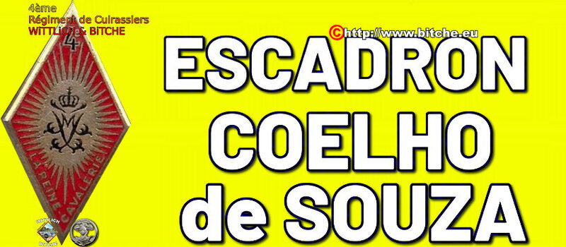 - PANNEAU d' ESCADRON CAPiTAiNE COELHO de SOUZA