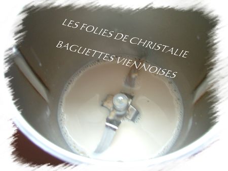 Baguettes_viennoises_1