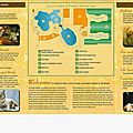 Secret Garden and Dophin Habitat the Mirage Las Vegas (2).jpg