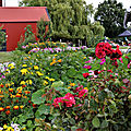 IMG_1328