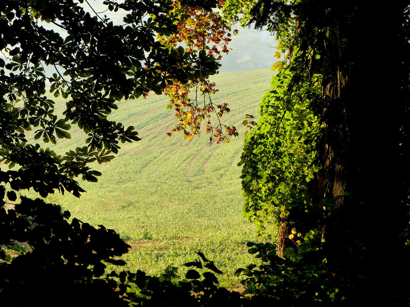 P1290577